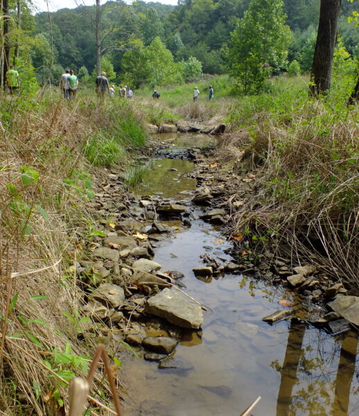 Cranes Nest – KY