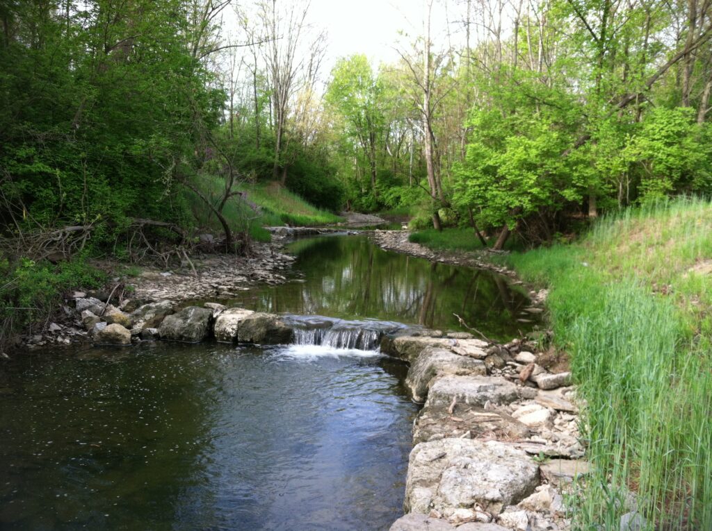 Muddy stream restoration 800x315