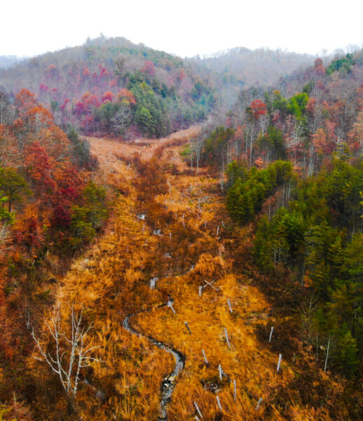 Big Sandy – KY
