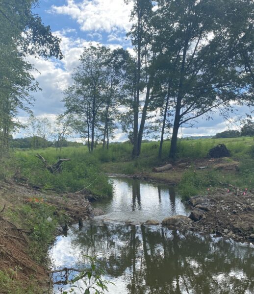 Flat Creek – TN