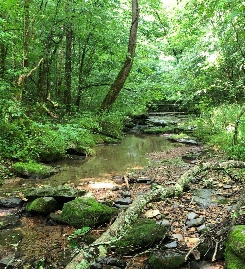 Martin Creek – TN