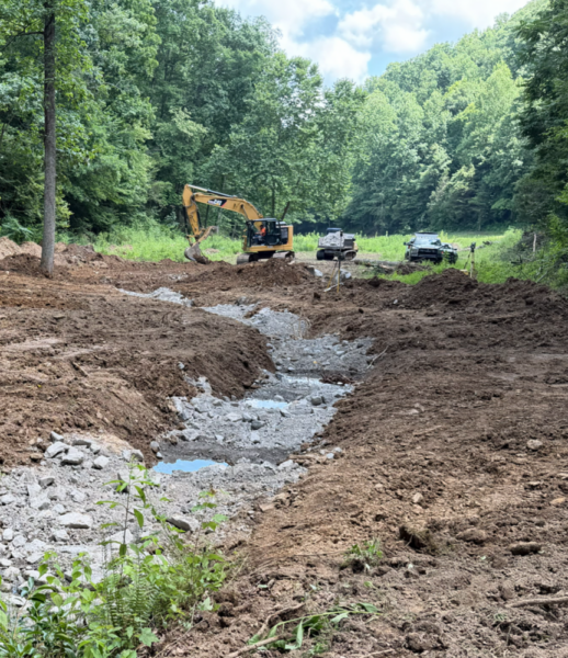 Wolf Branch – TN