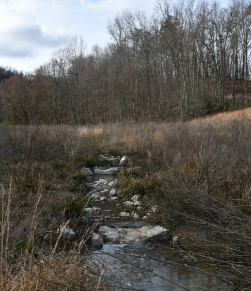 Spout Springs – KY